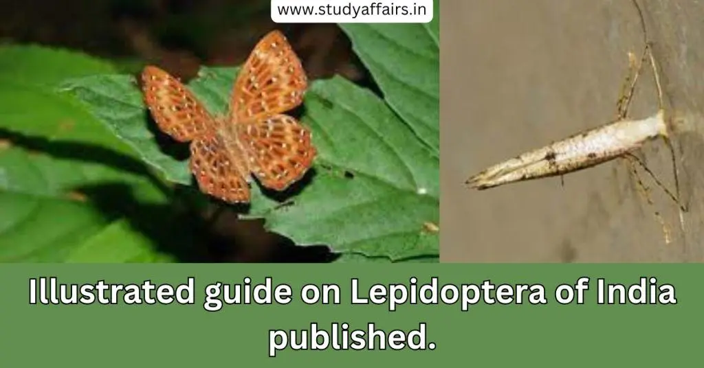 ZSI publishes 'An Illustrated Guide to the Lepidoptera of India: Taxonomic Procedures, Family Characters, Diversity and Distribution'
