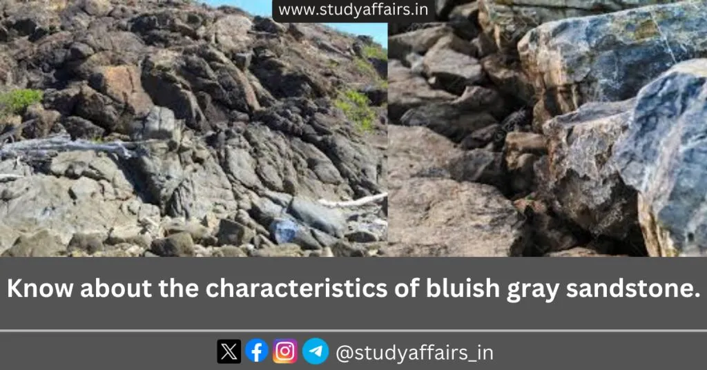 Bluish Gray Sandstone is a specific type of sandstone which is blue-grey in color. It is a very beautiful and unique natural resource