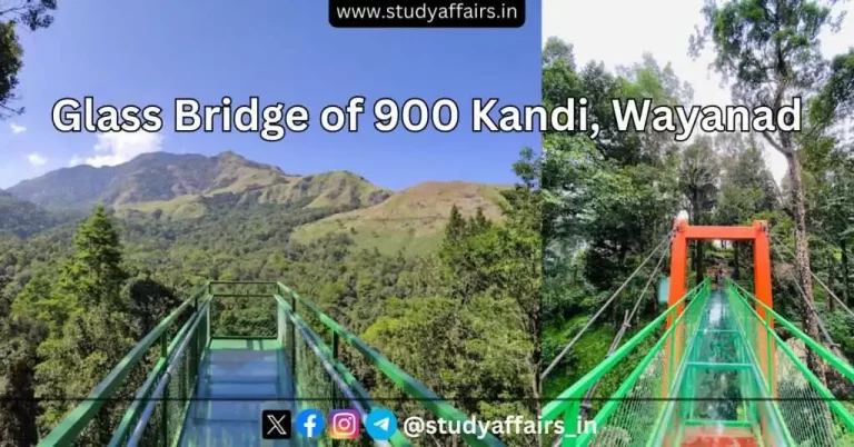 The Glass Bridge of 900 Kandi is the first glass bridge in South India. It is a beautiful walking path located in Thollayiram Kandi, Kerala.