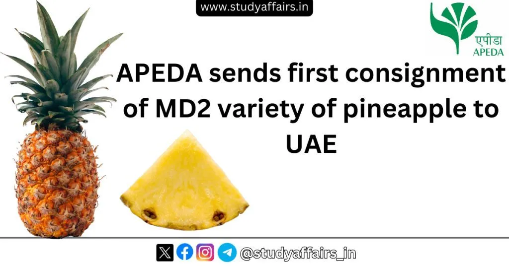 APEDA under the Ministry of Commerce and Industry has approved the export of the first consignment of MD2 variety of pineapples to the UAE.